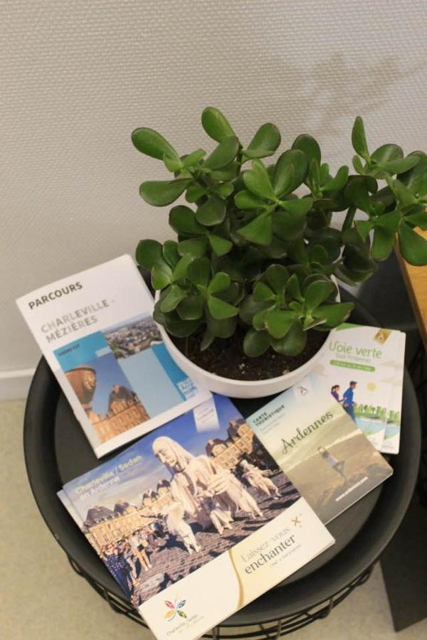 La Mezzanine - Hypercentre - Rue Pietonne Apartment ชาร์เลอวิลล์-เมซิแยร์ ภายนอก รูปภาพ